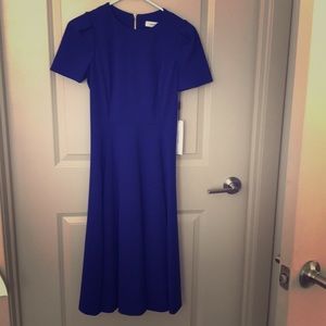 Blue A line Calvin Klein dress